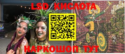 spice Новодвинск