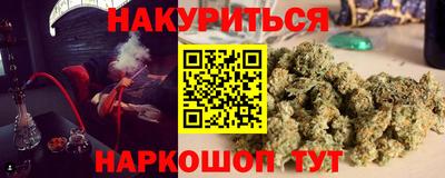 spice Новодвинск