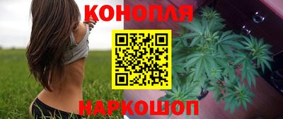 spice Новодвинск