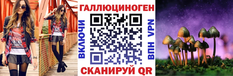 ссылка на мегу   Протвино  Псилоцибиновые грибы GOLDEN TEACHER 