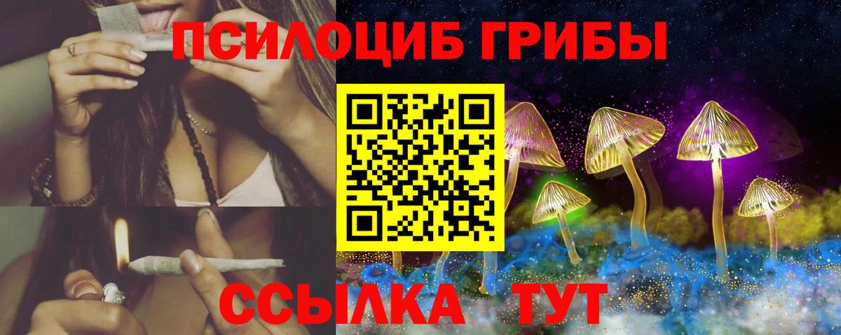 Псилоцибиновые грибы Magic Shrooms  Вход с VPN  Псилоцибиновые грибы Psilocybine cubensis  наркота  Протвино 