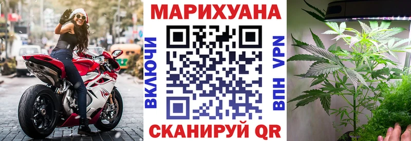 МАРИХУАНА ГИДРОПОН Протвино